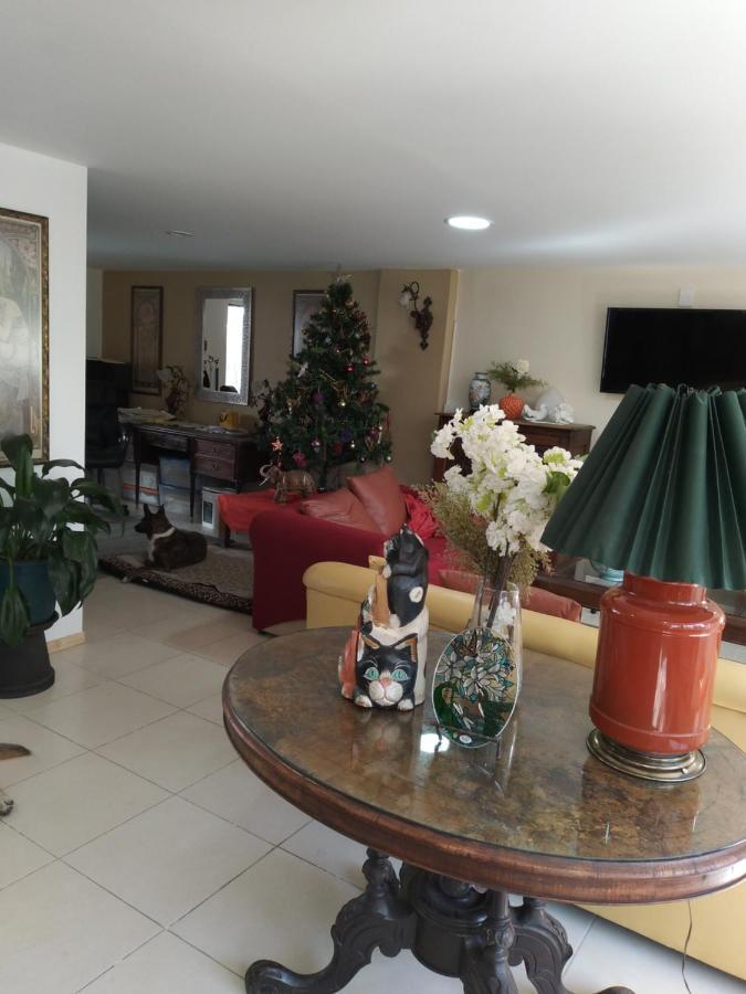 Charming Sunny Bedroom Overlooking Beautiful Amsterdam Avenue In Best Condesa Area เม็กซิโกซิตี้ ภายนอก รูปภาพ