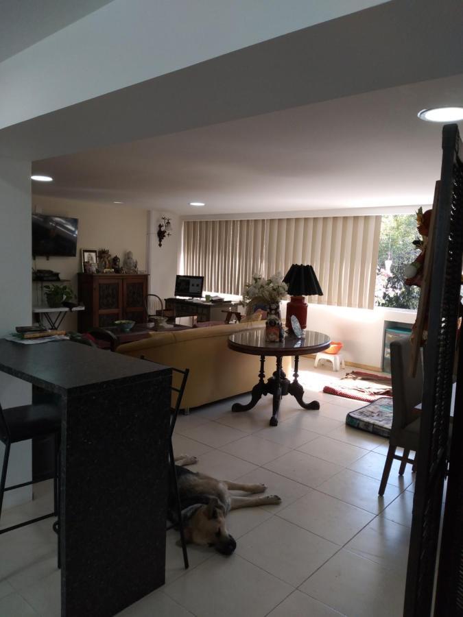 Charming Sunny Bedroom Overlooking Beautiful Amsterdam Avenue In Best Condesa Area เม็กซิโกซิตี้ ภายนอก รูปภาพ