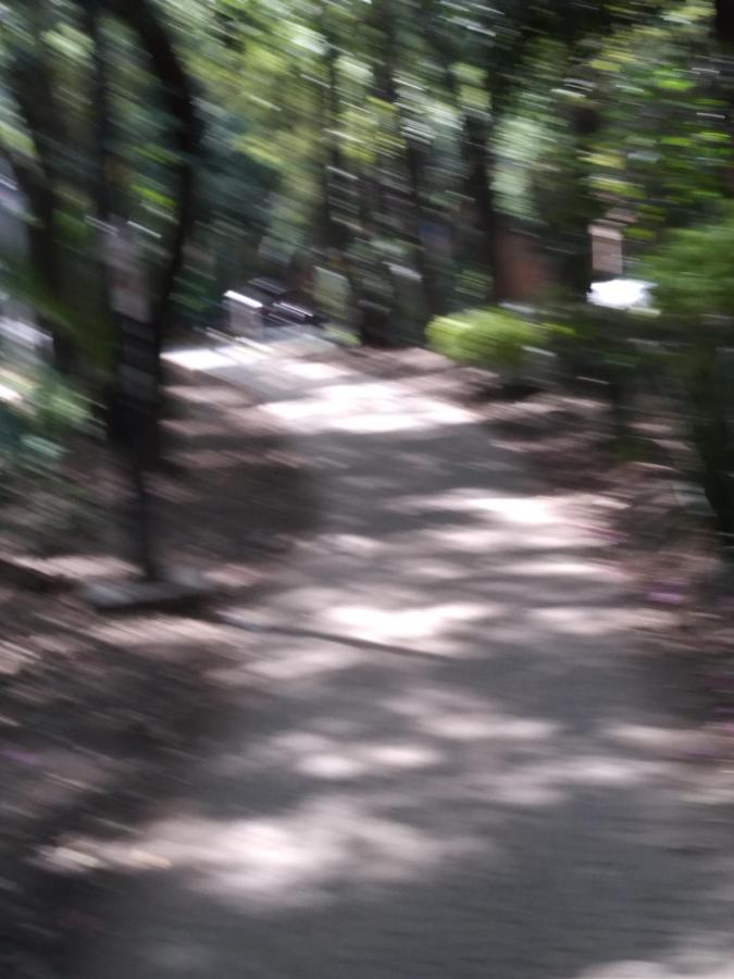 Charming Sunny Bedroom Overlooking Beautiful Amsterdam Avenue In Best Condesa Area เม็กซิโกซิตี้ ภายนอก รูปภาพ